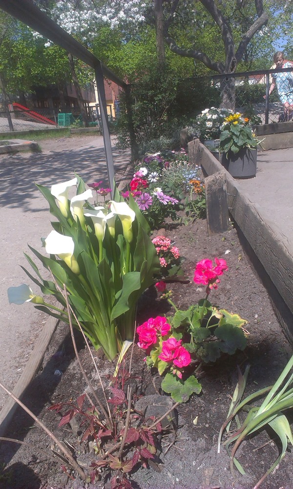 IMAG1592