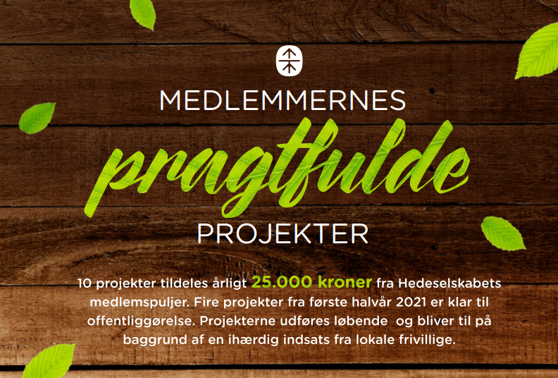 Hedeselskabet